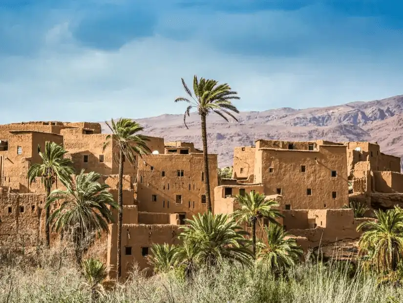 Historic mud-brick buildings and palm trees in Tinghir.