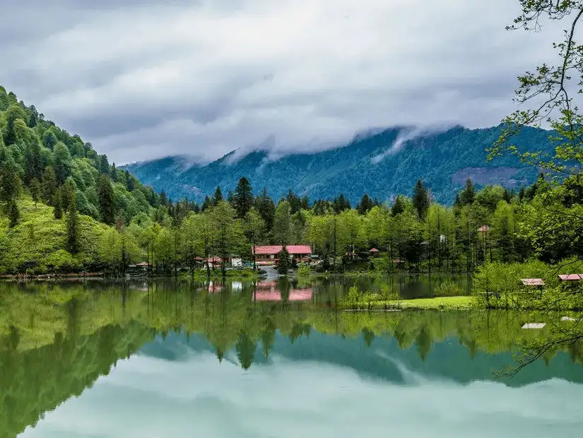 A serene lake surrounded by lush forests and misty mountains.