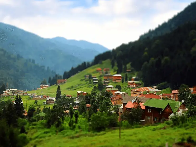 A charming village nestled in the green hills of Trabzon.