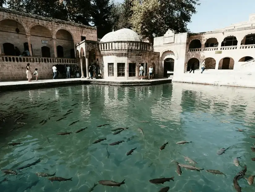 The sacred Balıklıgöl (Pool of Abraham) with its fish-filled waters and historic structures in Şanlıurfa.