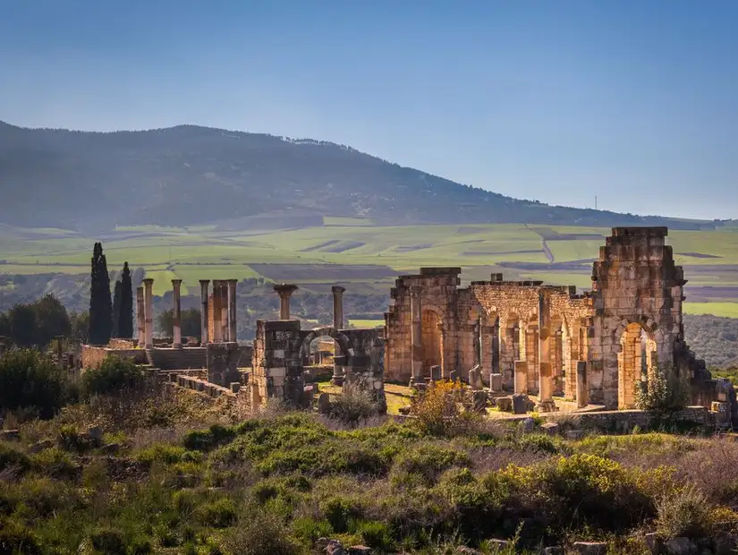 volubilis.jpg