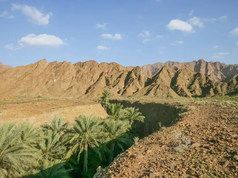 wadi-abadilah.jpg