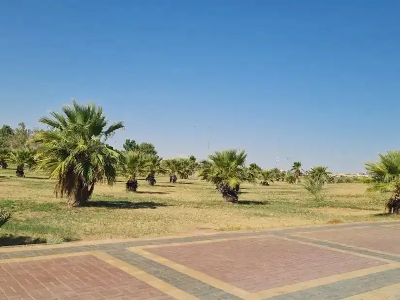 wadi-badana