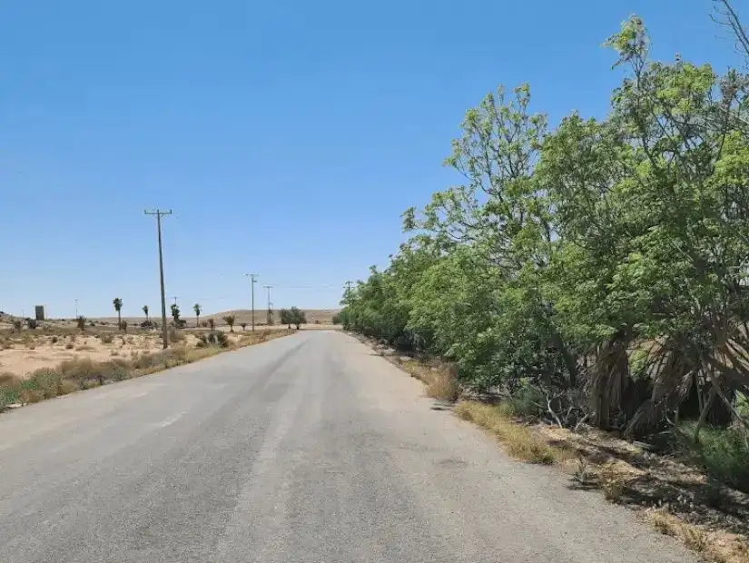 wadi-maila
