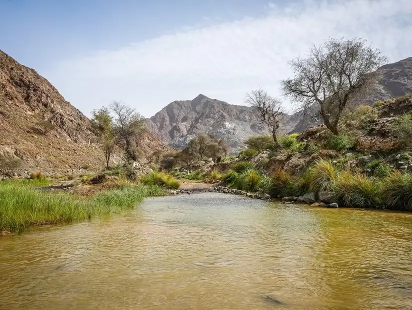 wadi-shees.jpg