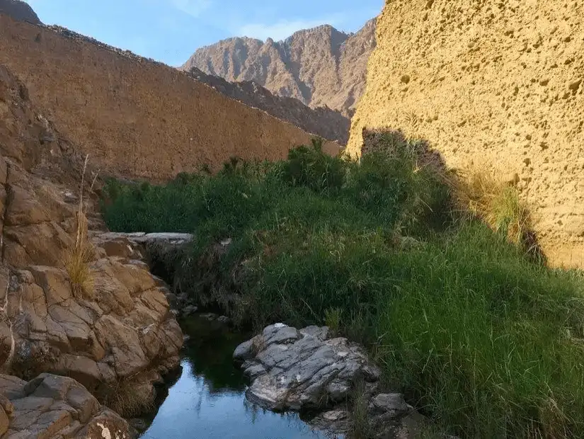 wadi_wurayah.jpg
