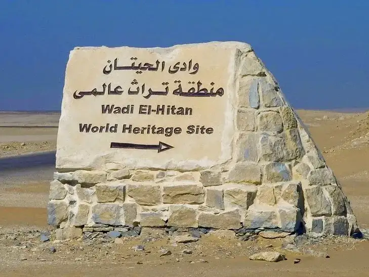 وادي الحيتان.webp