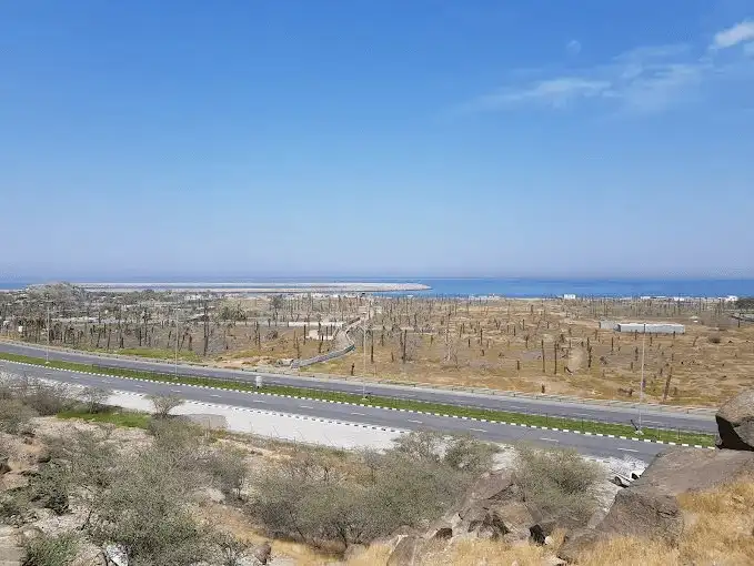wady_alwariah.jpg