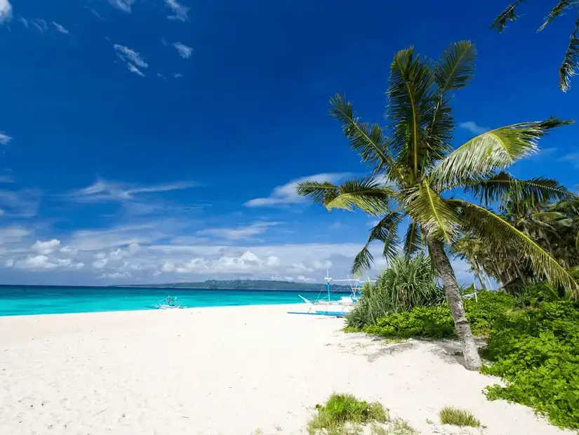 A tranquil scene at Yabak Beach with white sands and a lone palm tree swaying under the blue sky.