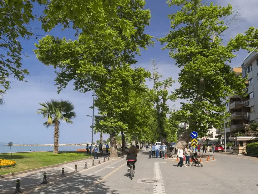 A tree-lined promenade by the seaside, offering a tranquil walk in Yalova.