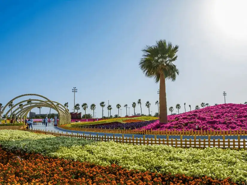 A vibrant flower garden with a palm tree and colorful floral arrangements.