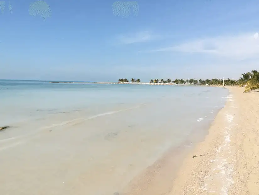 A tranquil sandy beach with calm, shallow waters and distant palm trees.