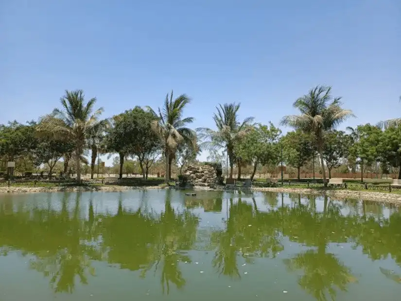 A serene pond surrounded by palm trees and greenery in a park.