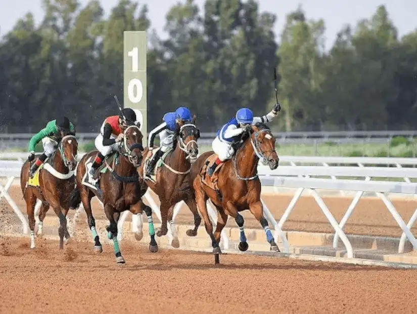 Horse racing event with jockeys and horses in full stride.