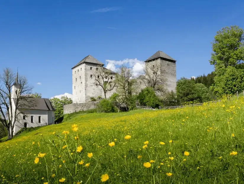 A historic castle on a grassy hill, surrounded by colorful wildflowers.