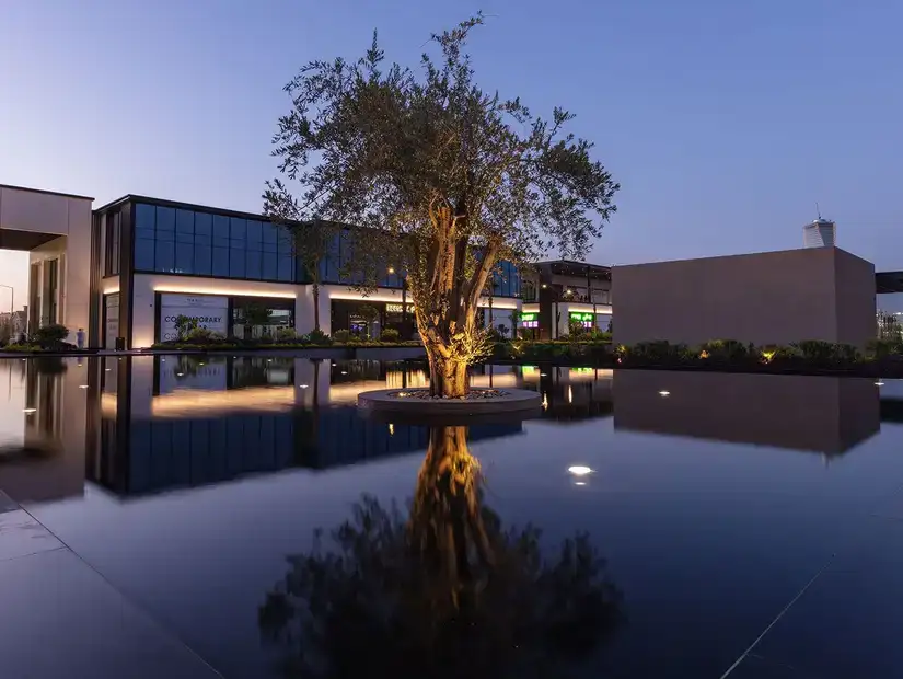 Tranquil evening view of a beautifully lit tree in the shopping complex.