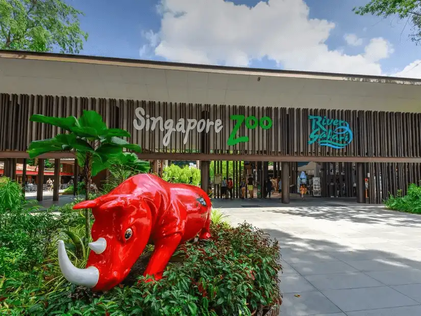 The Singapore Zoo, renowned for its lush, open-concept enclosures and diverse wildlife.