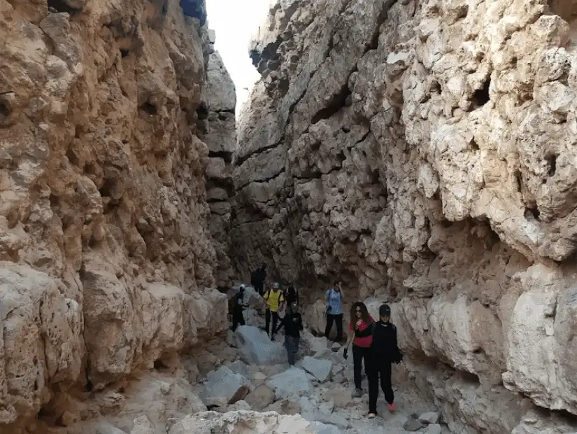 زيارة محمية وادي دجلة.png