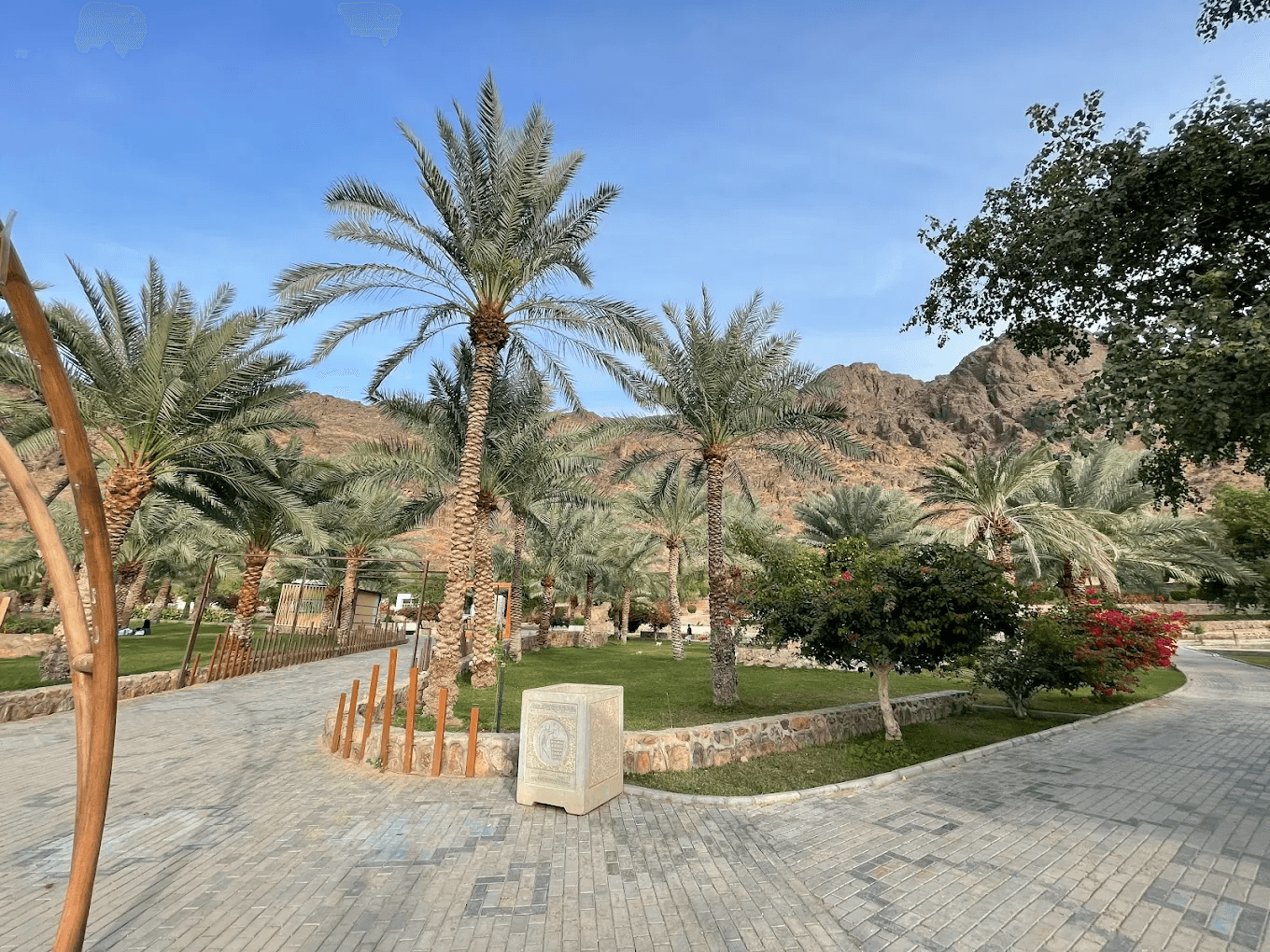 حين تذكر المدينة المنورة، يخطر في بالك السكون، الروحانية، وطمأنينة المكان لكن ماذا لو أخبرناك أن هذه المدينة الهادئة تخفي وجهًا آخر نابضًا بالحياة؟ وجهًا يعرف كيف يبتسم للعائلات، ويدهش الأطفال