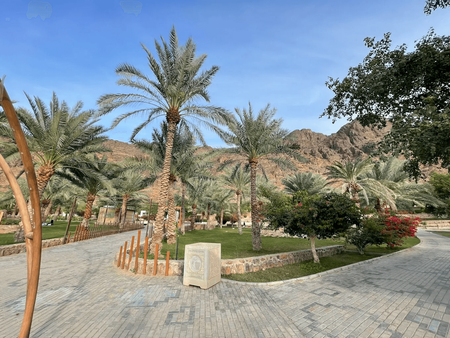 حين تذكر المدينة المنورة، يخطر في بالك السكون، الروحانية، وطمأنينة المكان لكن ماذا لو أخبرناك أن هذه المدينة الهادئة تخفي وجهًا آخر نابضًا بالحياة؟ وجهًا يعرف كيف يبتسم للعائلات، ويدهش الأطفال