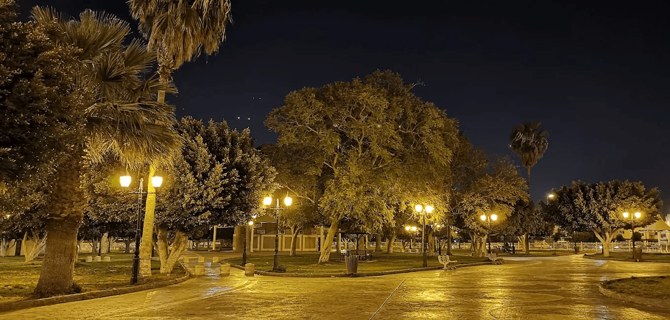 عند حلول فصل الربيع، تبدأ الطائف في استعادة سحرها الحقيقي، فتتجه أنظار السياح من مختلف أنحاء العالم إلى هذه المدينة الجبلية الساحرة، حيث الهواء العليل والطبيعة التي تنبض بالحياة. تبرز الحدائق والمنتزهات كواحدة من أهم عوامل الجذب في الطائف