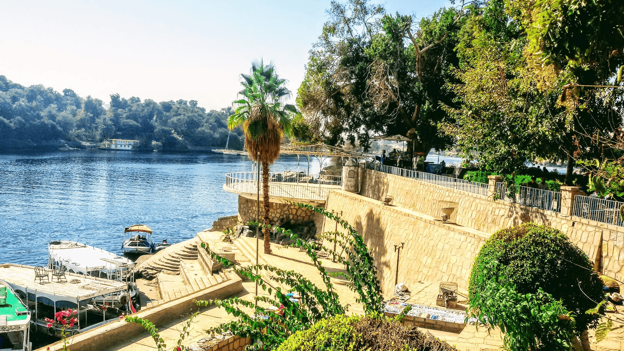 تعتبر هذه الجزيرة واحدة من أفضل الأماكن في العالم التي تضم أنواعًا مختلفة من النباتات من جميع أنحاء العالم، يجب عليك زيارتها مرة واحدة على الأقل في حياتك