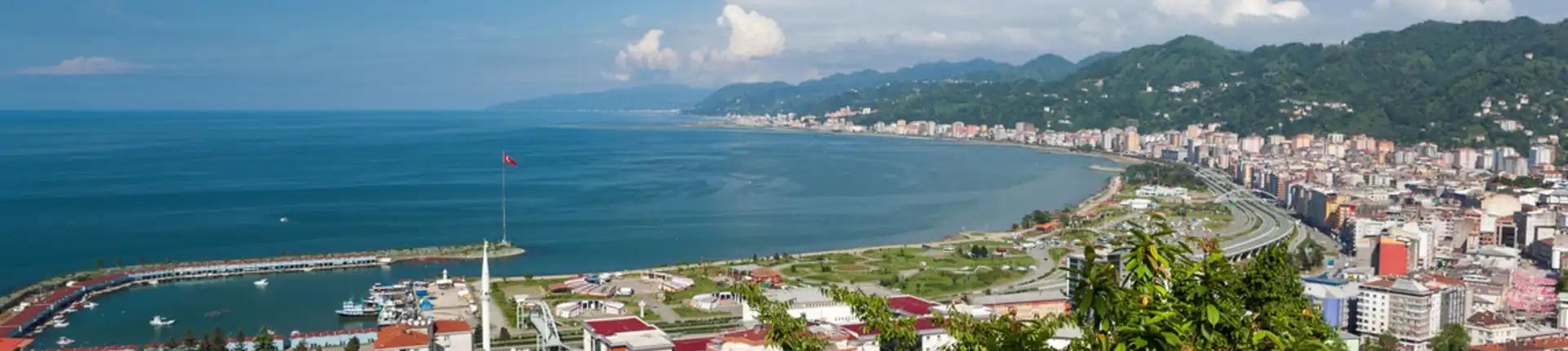 An Ultimate Guide to Rize