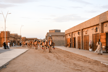 سوق عكاظ الطائف هو سوق تقليدي يعود تاريخه إلى القرن السادس الميلادي، ويقع في مدينة الطائف بالمملكة العربية السعودية. يعد السوق واحدًا من أشهر وأقدم الأسواق الشعبية في المملكة العربية السعودية