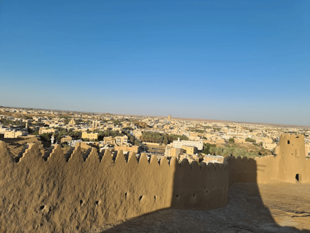تعد مدينة سكاكا واحدة من أبرز المدن التاريخية في منطقة الجوف شمال المملكة العربية السعودية، حيث تجمع بين التراث العريق والطبيعة الخضراء الخلابة. تزخر المدينة بالمعالم السياحية والأسواق التقليدية والمط...