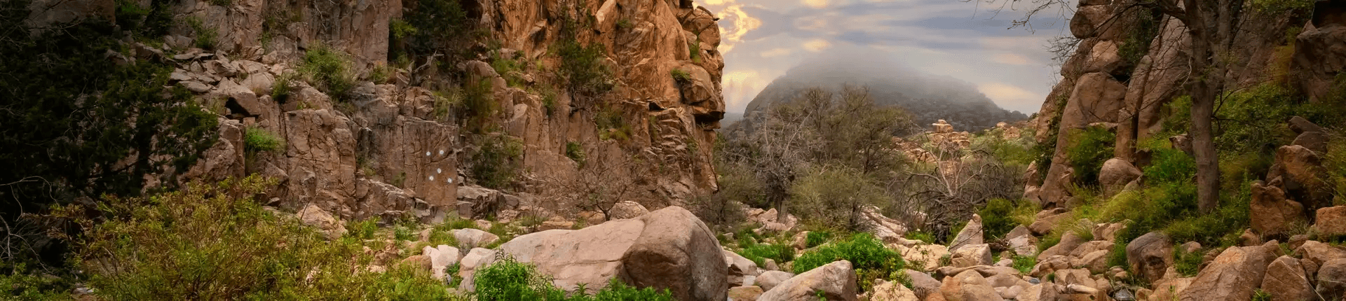 Top Tourist Attractions in Taif for Families