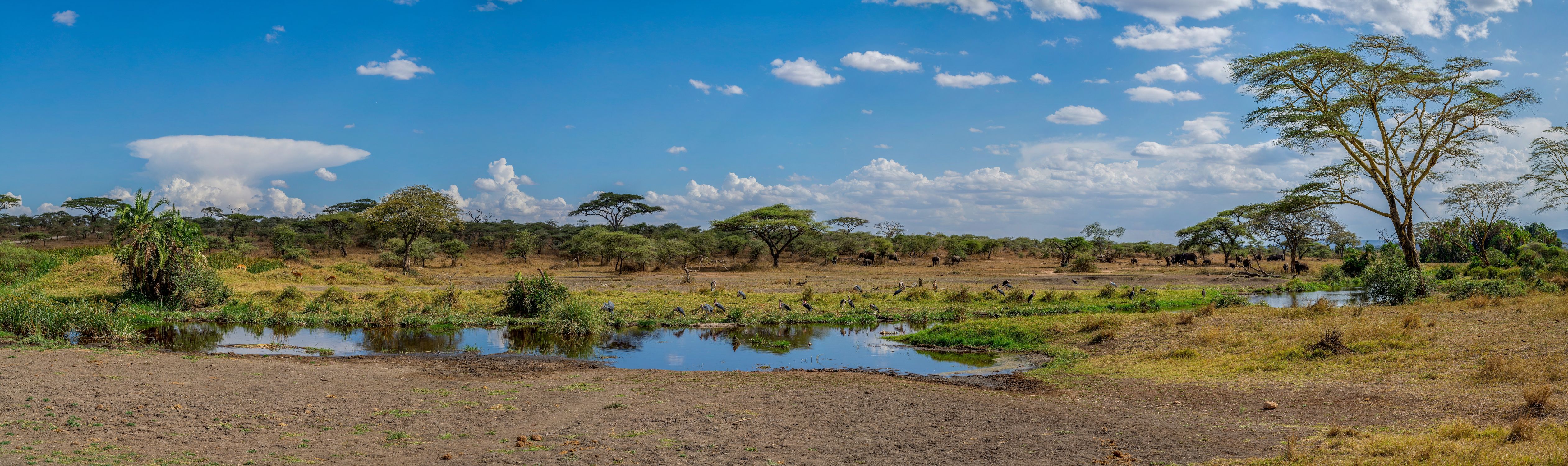 دليل السياحة في تنزانيا